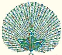 peacock