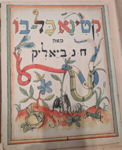 Cover page featuring two insects putting up banners in red, green, blue, and white